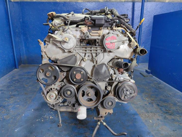 Двигатель Ниссан Эльгранд в Евпатории 437558