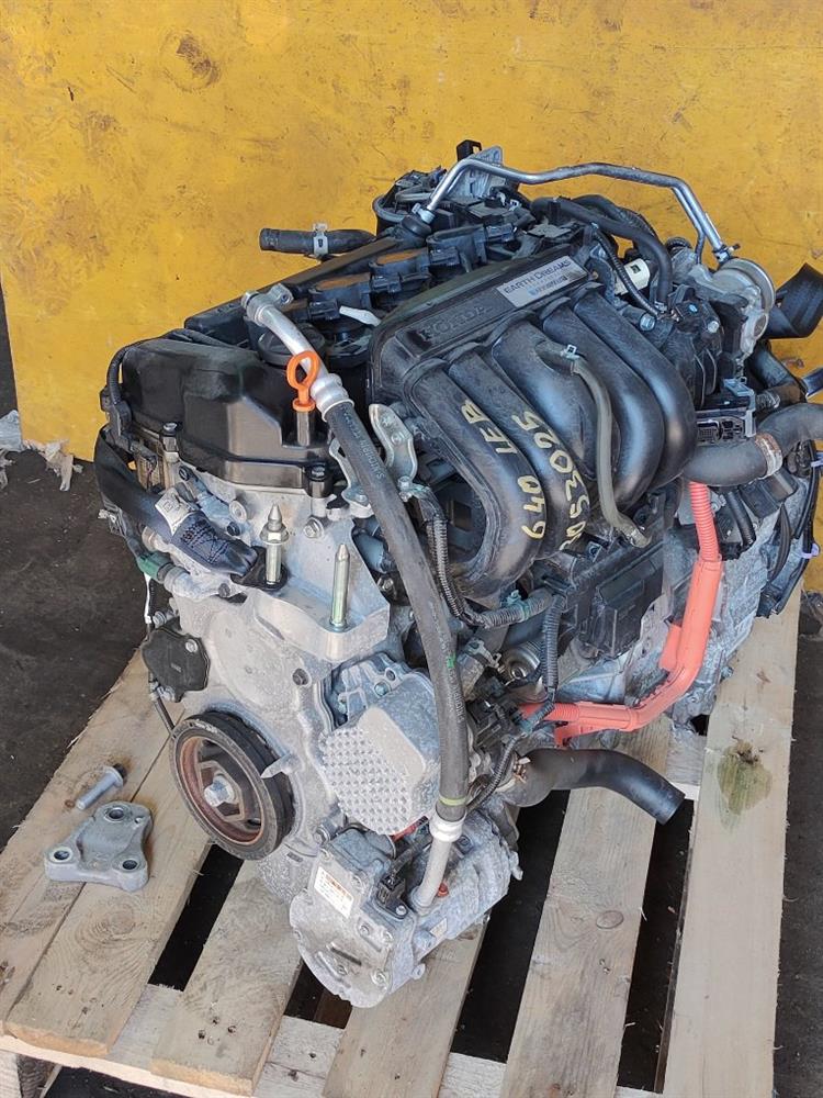 Двигатель Хонда Фит в Евпатории 644421