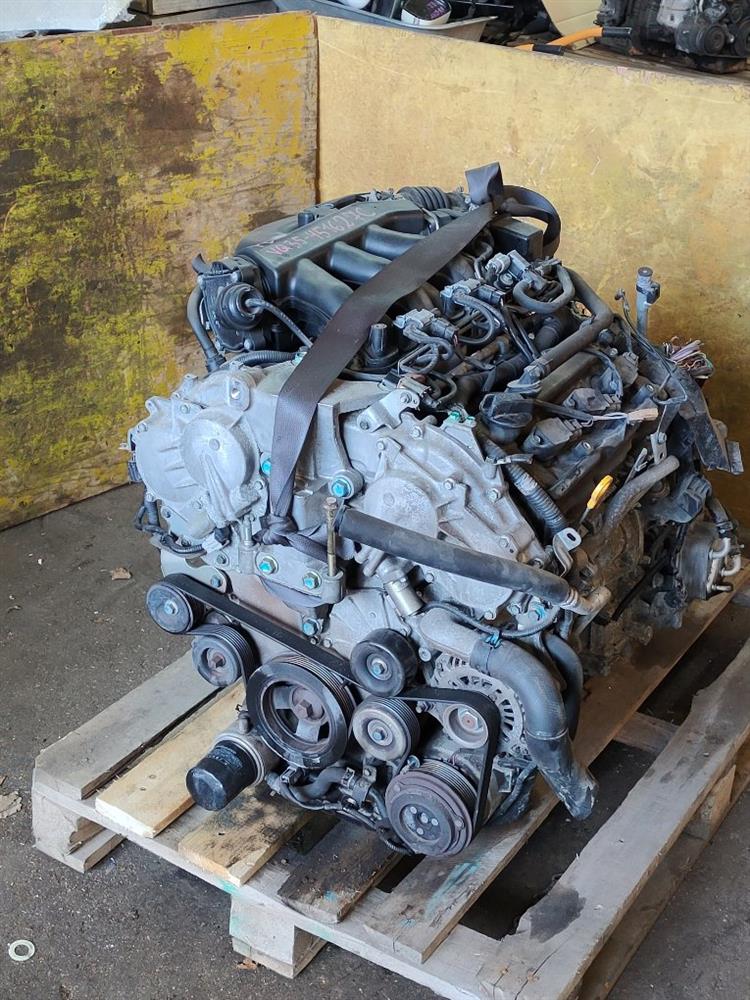 Двигатель Ниссан Эльгранд в Евпатории 731362
